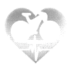 Mountainbike Herzschlag