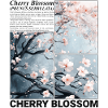 Kwiat wiśni Sakura Kwiat Wiosna Natura Prezent