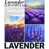 Lavande Lavandula Nature Provence Cadeau Botanique