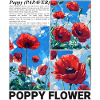 Poppy Nature Aesthetics Botany Flower Gift