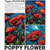 Coquelicot Nature Fleur Botanique Esthétique Cadeau