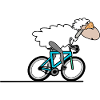 Rennrad Radfahren