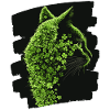Chat de la Saint-Patrick