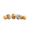 Numismatics Coin Collector Art