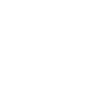 politically Incorrect