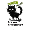 Whimsical Black Cat