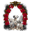 Dog Dogs Children Child