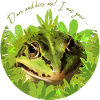Frog kisses me prince