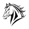 Cheval Équitation Équitation