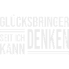 Schornsteinfeger – Dein Glücksbringer
