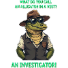 An Investigator