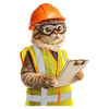 Katze