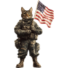 Katze