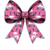 Coquette Bow Skydiving
