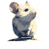 Mice Mouse