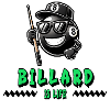 Billiards is Life – Cool 8-Ball Design