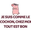 pig