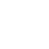 press x to roar Geschenkidee
