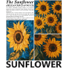 Sunflower Summer Nature Botany Blossoms Gift
