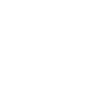 Lion Child