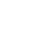 half lion half lion child