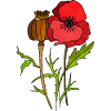 Blumen