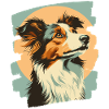 Collie