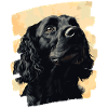 Cocker Spaniel