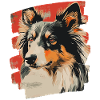 Collie