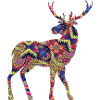 Cerf