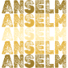 Gift for Anselm