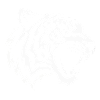 Tiger tribal white