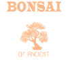 Bonsai Tree