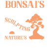 Bonsai Tree