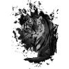 Tiger in the Shadows