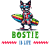 Bostie Surfer