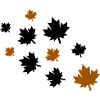 Maple Leaves