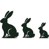 Rabbit rabbit rabbit