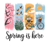Spring Awakening – Blossoms, Birds & Bicycle
