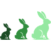 Rabbit Rabbit 3