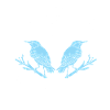 Bird Watching Cute Bird Lover