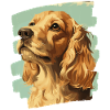 Cocker Spaniel