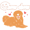 Chow Chow Dog