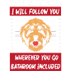 Chow Chow Dog