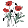 Matisse Inspired Poppies