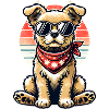 Cool Dog 😎🐶