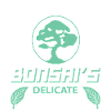 Bonsai Tree