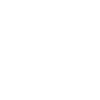 Bonsai Tree