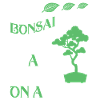 Bonsai Tree