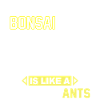 Bonsai Tree